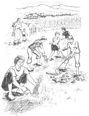 23. Toparundun (Atkinson).jpg