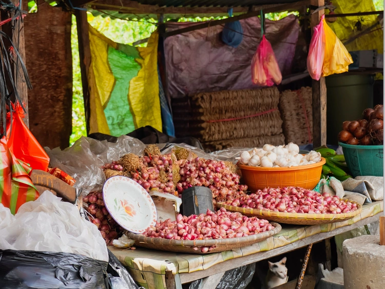 Bawang hasil kebun dari Duri