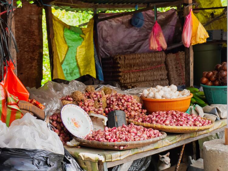 Lessuna assele' bara'bah jio Tana Duri