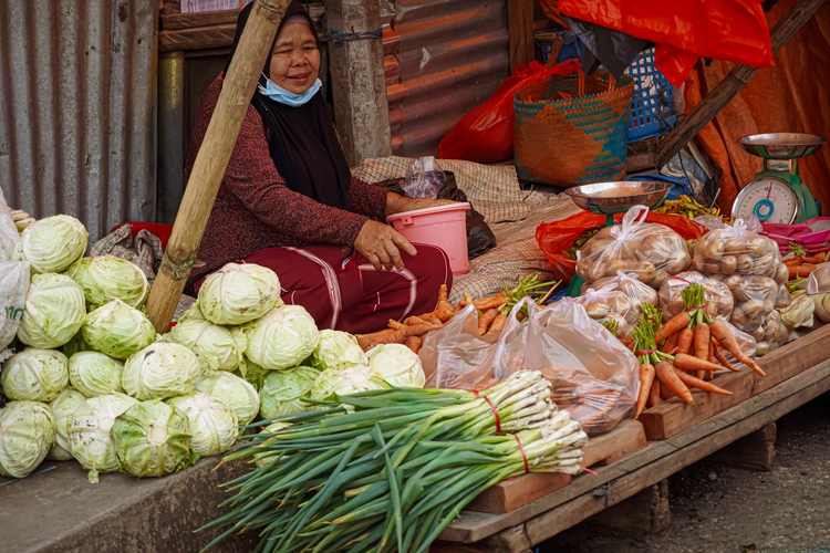 Hasil kebun Tana Duri