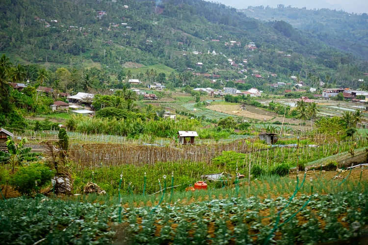 Kebun dan pemukiman orang Duri