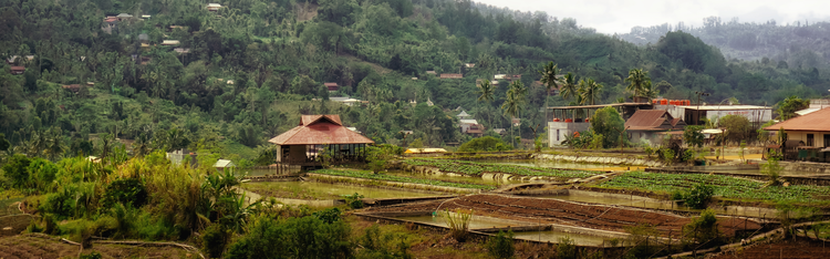 Salah Satu Pemukiman di Tana Duri