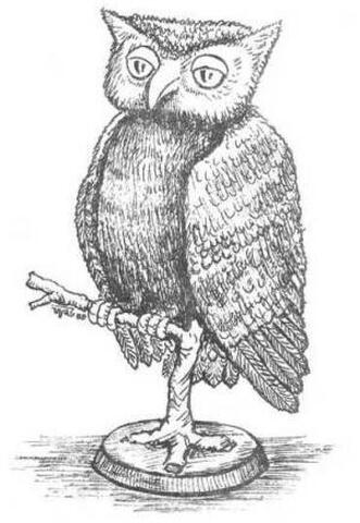 35. Totosik II (Atkinson).jpg