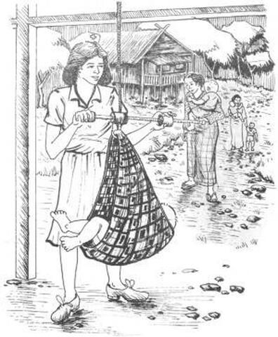 43. Mangtimbang pea (Atkinson).jpg